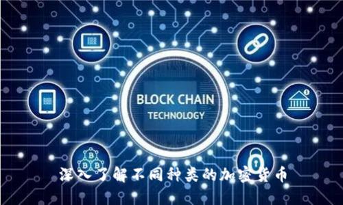 深入了解不同种类的加密货币