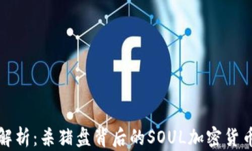 
深入解析：杀猪盘背后的SOUL加密货币现象