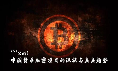 ```xml
中国货币加密项目的现状与未来趋势