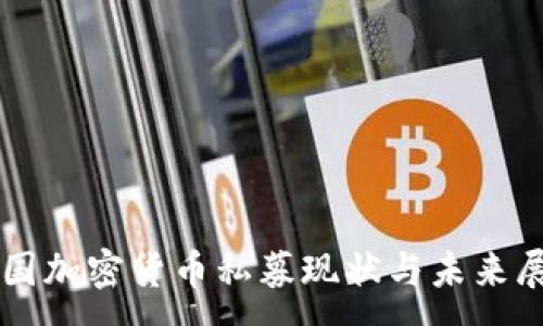 :
中国加密货币私募现状与未来展望