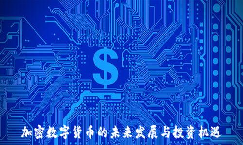   
加密数字货币的未来发展与投资机遇