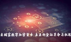 柬埔寨数字加密货币：未