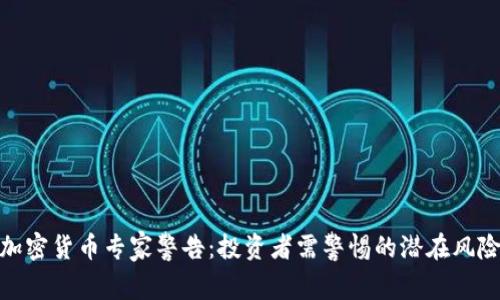 加密货币专家警告：投资者需警惕的潜在风险