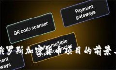 探索俄罗斯加密货币项目