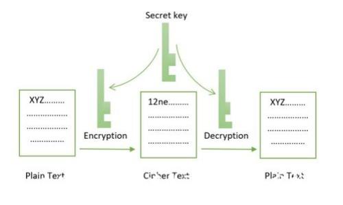 :
加密货币市场中的“韭菜”现象分析