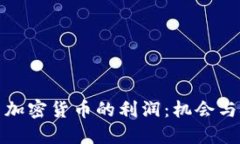 投资加密货币的利润：机